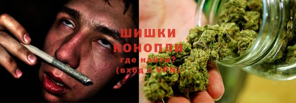 бошки Богданович