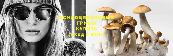 эйфоретик Богородск