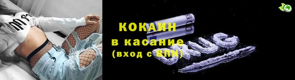 бошки Богданович